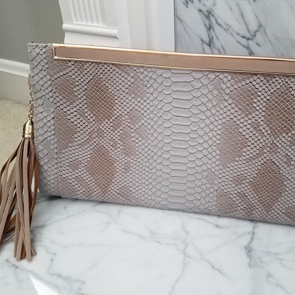 Snake Print Clutch